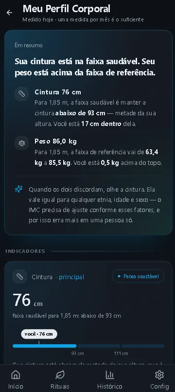 Perfil Corporal do Meu Gole mostrando cintura na faixa saudável e IMC acima